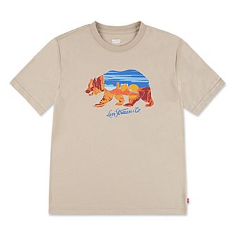 Boys 8-20 Levi's® Mixed Graphics Short Sleeve T-shirt