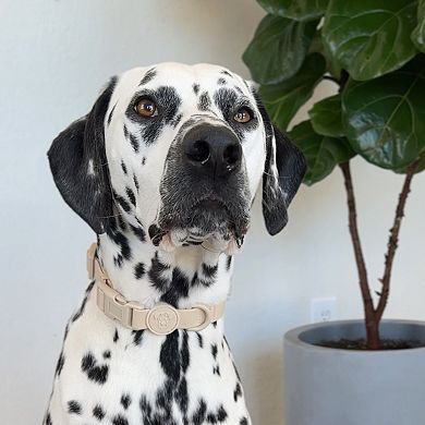 Waterproof Dog Collar - Soft-Touch - Adjustable Fit