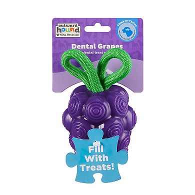 Outward Hound Dental Grapes 2-in-1 Dog Chew Toy & Treat Stuffer