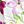 Watercolor Floral