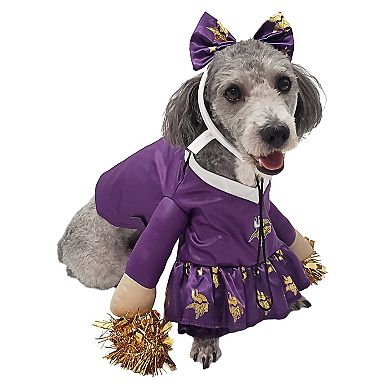 Minnesota Vikings Cheer Dog Costume