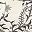 White Black
