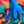 Bright Tropics