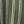 Olive Stripe