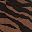 Chestnut Brown Zebra