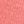 Sweet Coral