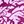 Berry Pink Floral
