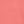 Sweet Coral
