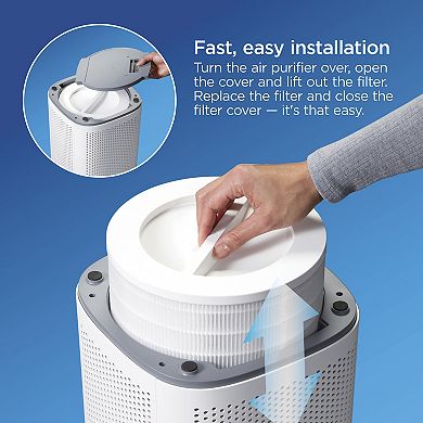 Clorox Large Room True HEPA Replacement Filter