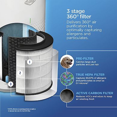 Clorox Medium Room True HEPA Replacement Filter