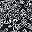 Black White Scroll