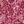 Cherry Red Graphic