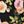 Black Floral