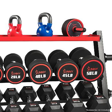Sunny Health & Fitness All-In-One Mass Weights Storage Rack