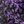 Vintage Lavender Paint