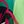 Green Palm