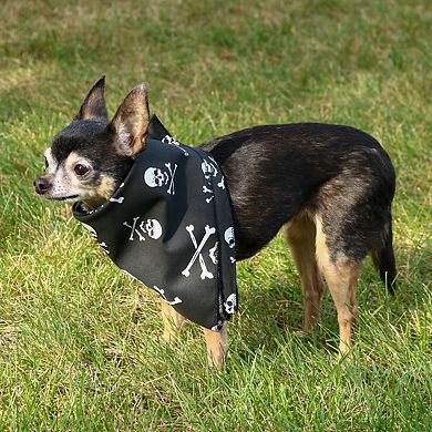 CTM Skull & Crossbones Bandana