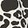 Black Ivory