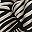 Black Botanic Zebra
