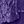 Midnight Violet