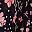 Black Patch Floral