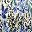 French Blue Floral