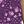 Plum Purple Patch