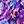 Radiant Purple Floral