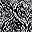 Black Ikat