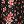 Black Patch Floral