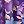 Radiant Purple Floral