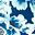 Navy Floral Burst