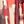 Poppy Red Abstract