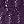 Purple Pennant