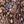 Chocolate Paisley
