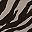 Chai Latte Zebra