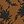 Walnut Brown Leaf