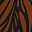 Black Feather Leaves