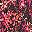 Black Multi Floral