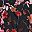 Black Floral Burnout