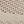 Seashell Beige