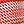Coral Stripe