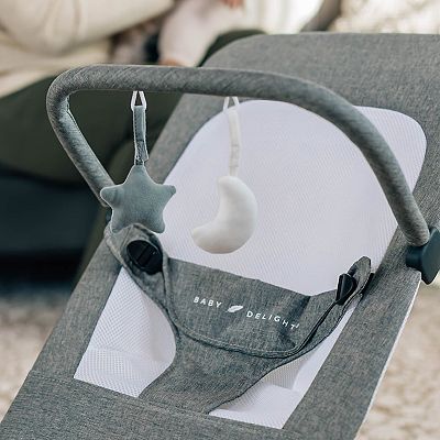 Baby Delight Alpine Deluxe Portable Bouncer