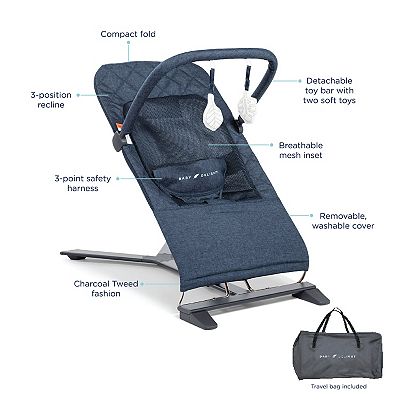 Baby Delight Alpine Deluxe Portable Bouncer