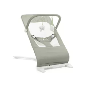 Baby Delight Alpine Deluxe Portable Bouncer, Organic Green