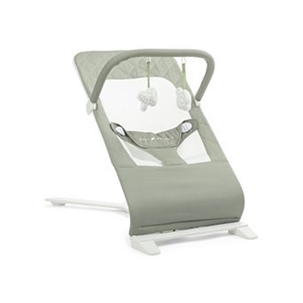 Baby Delight Alpine Deluxe Portable Bouncer