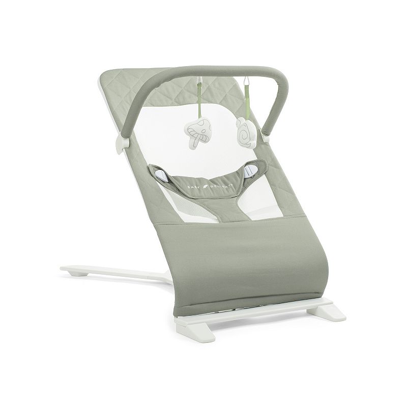 Baby Delight Alpine Organic Deluxe Portable Bouncer - Sage