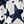Blue Stars