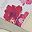 Pink Floral Multi