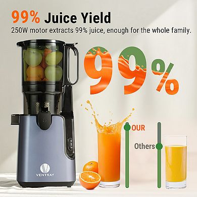Ventray 5.1 Inch Large Feed Chute Cold Press Juicer, 250W Power Masticating Juicer